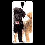 Coque Sony Xperia C5 Chiot labrador