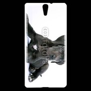 Coque Sony Xperia C5 Dogue allemand noir