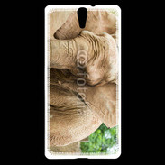 Coque Sony Xperia C5 Elephant d'Afrique