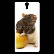 Coque Sony Xperia C5 Rat bicouleur