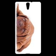 Coque Sony Xperia C5 Mastiff marron