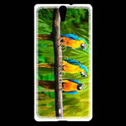 Coque Sony Xperia C5 Trois perroquets bleu et jaune