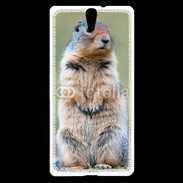 Coque Sony Xperia C5 Marmotte 2