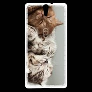 Coque Sony Xperia C5 Sieste de chatons