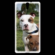 Coque Sony Xperia C5 Chien Staffordshire