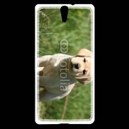 Coque Sony Xperia C5 Mignon petit labrador
