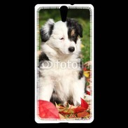 Coque Sony Xperia C5 Adorable chiot Border collie