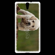Coque Sony Xperia C5 Chiot labrador avec pomme de pin