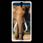 Coque Sony Xperia C5 Éléphant de face