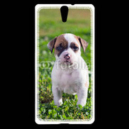 Coque Sony Xperia C5 Chiot American Staffordshire terrier 