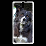 Coque Sony Xperia C5 Border collie 500