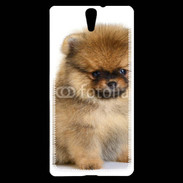 Coque Sony Xperia C5 Chiot Pomeranian 15