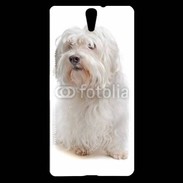 Coque Sony Xperia C5 Bichon Maltais 600