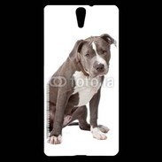 Coque Sony Xperia C5 American staffordshire bull terrier