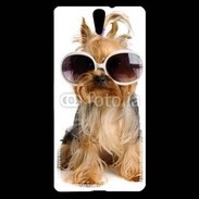 Coque Sony Xperia C5 Chien Yorkie avec lunette de soleil