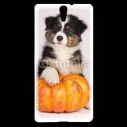 Coque Sony Xperia C5 Chiot Berger Australien 25