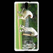 Coque Sony Xperia C5 Joueurs de cricket 1
