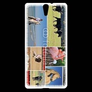 Coque Sony Xperia C5 Beauté de la camargue