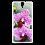 Coque Sony Xperia C5 Belle Orchidée PR 50