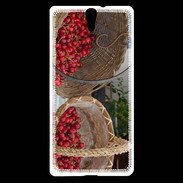 Coque Sony Xperia C5 DP Panier de fruits