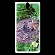 Coque Sony Xperia C5 Lapin sauvage PB 1