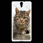 Coque Sony Xperia C5 Portrait de chat PR