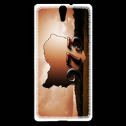 Coque Sony Xperia C5 Guyane 973