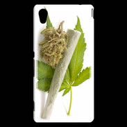 Coque Sony Xperia M4 Aqua Feuille de cannabis 5