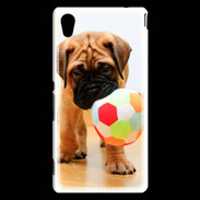 Coque Sony Xperia M4 Aqua Bull mastiff chiot