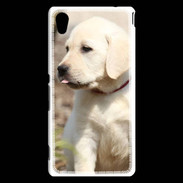 Coque Sony Xperia M4 Aqua Adorable labrador