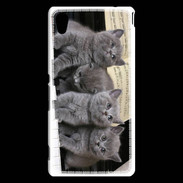 Coque Sony Xperia M4 Aqua Chatons musiciens