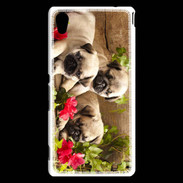 Coque Sony Xperia M4 Aqua Trio de chiots Carlin