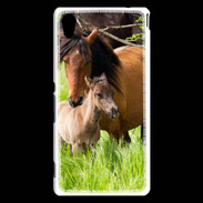 Coque Sony Xperia M4 Aqua Cheval et poulain