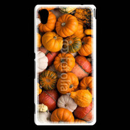 Coque Sony Xperia M4 Aqua fond de citrouilles automne