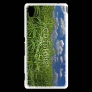 Coque Sony Xperia M4 Aqua Champs de cannabis
