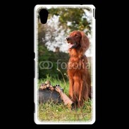 Coque Sony Xperia M4 Aqua chien de chasse 300