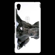 Coque Sony Xperia M4 Aqua Dogue allemand noir