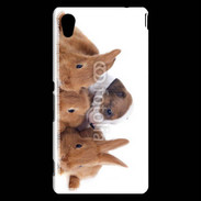 Coque Sony Xperia M4 Aqua Gardien de lapins
