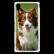 Coque Sony Xperia M4 Aqua Chien Colley marron et blanc
