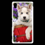 Coque Sony Xperia M4 Aqua Portrait chiot Husky de Sibérie 1