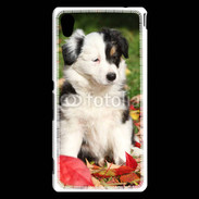 Coque Sony Xperia M4 Aqua Adorable chiot Border collie