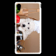 Coque Sony Xperia M4 Aqua Chiot chef cuisinier