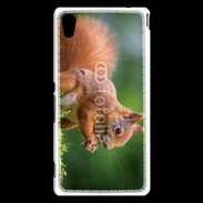 Coque Sony Xperia M4 Aqua Ecureuil avec des noisettes