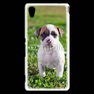 Coque Sony Xperia M4 Aqua Chiot American Staffordshire terrier 