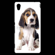 Coque Sony Xperia M4 Aqua Chiot Beagle 50