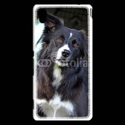 Coque Sony Xperia M4 Aqua Border collie 500