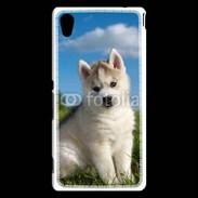 Coque Sony Xperia M4 Aqua Chiot Husky Sibérien 510