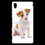 Coque Sony Xperia M4 Aqua Jack russel terrier puppy 800