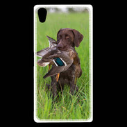 Coque Sony Xperia Z5 Premium Chien de chasse 100