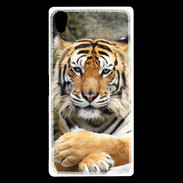 Coque Sony Xperia Z5 Premium Tigre
